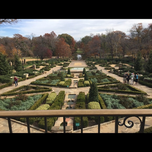 Meet your Posher, Amani - Picture 6 of 7